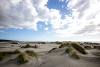 Foxton Beach - dunes