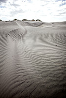 Foxton Beach - dunes